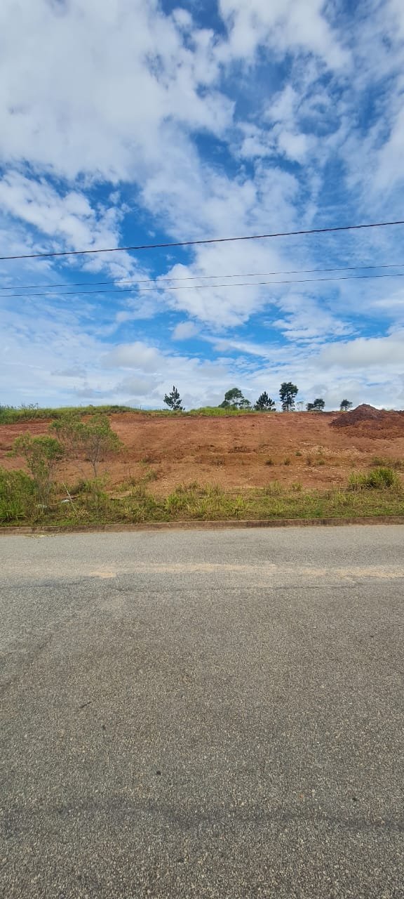 Terreno de 200 m² no Portal dos Pássaros, foto 1
